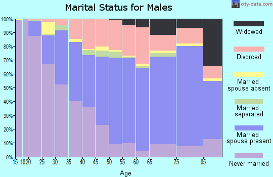 Zip code 85022 marital status for males