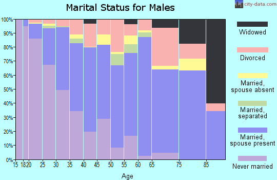 Zip code 85023 marital status for males