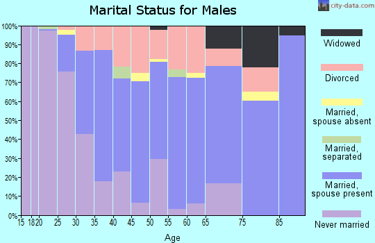 Zip code 85024 marital status for males