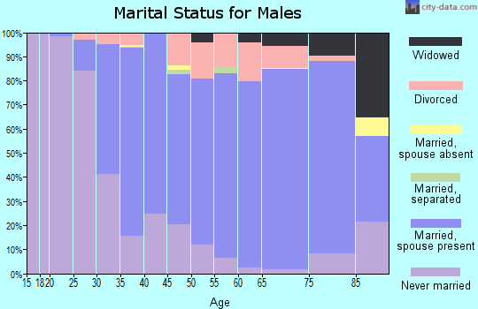 Zip code 85028 marital status for males