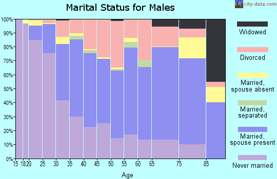 Zip code 85029 marital status for males