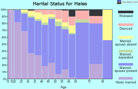 Zip code 85035 marital status for males