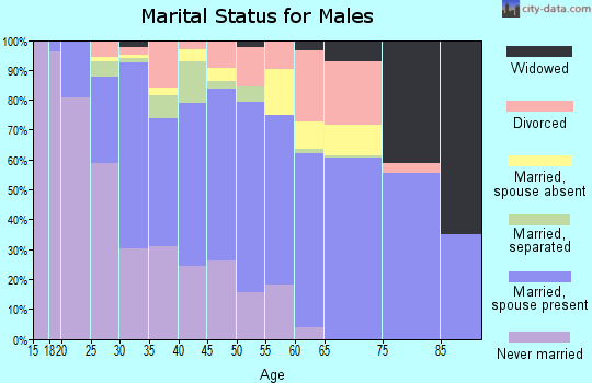 Zip code 85043 marital status for males