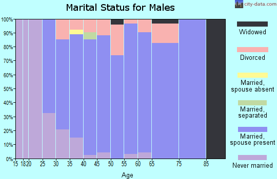 Zip code 85045 marital status for males