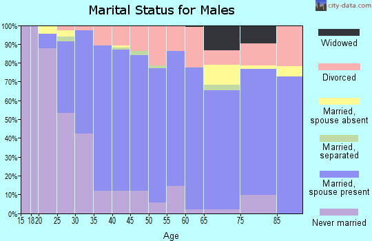 Zip code 85050 marital status for males
