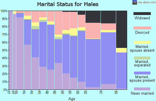 Zip code 85051 marital status for males