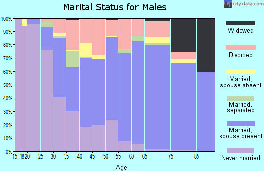 Zip code 85053 marital status for males