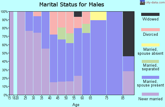 Zip code 85054 marital status for males