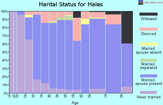 Zip code 85086 marital status for males