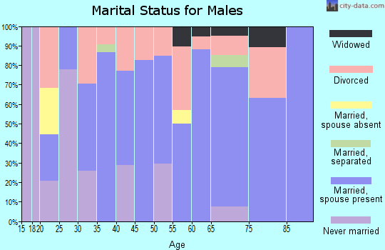 Zip code 85087 marital status for males