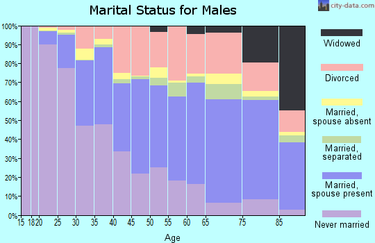 Zip code 85201 marital status for males