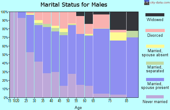 Zip code 85203 marital status for males