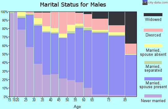 Zip code 85204 marital status for males