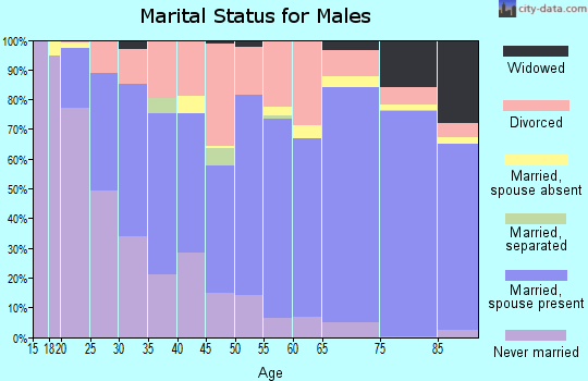 Zip code 85206 marital status for males