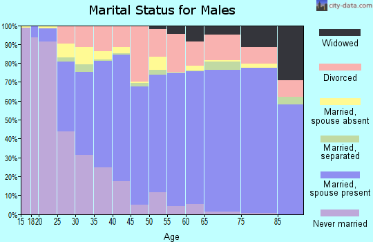Zip code 85207 marital status for males