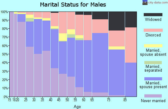 Zip code 85210 marital status for males