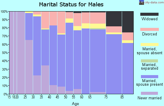 Zip code 85215 marital status for males