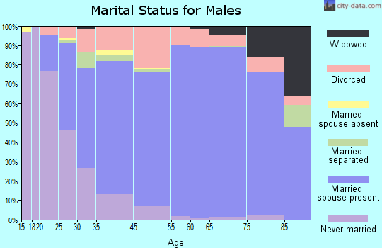 Zip code 85219 marital status for males