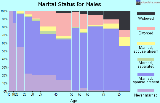 Zip code 85220 marital status for males