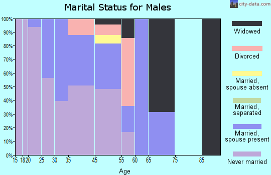 Zip code 85221 marital status for males