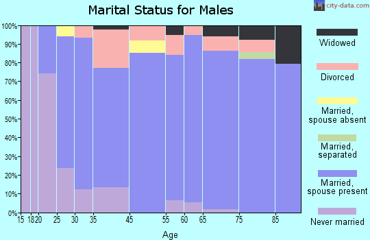 Zip code 85223 marital status for males