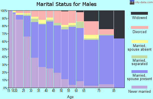 Zip code 85225 marital status for males