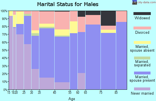 Zip code 85228 marital status for males