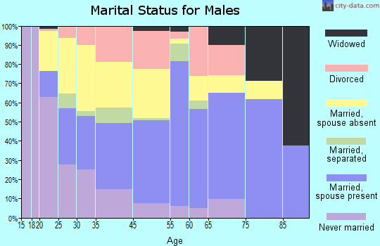 Zip code 85231 marital status for males