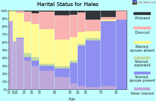 Zip code 85232 marital status for males