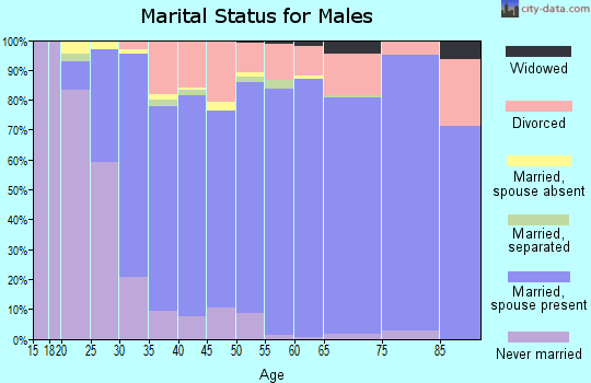 Zip code 85234 marital status for males