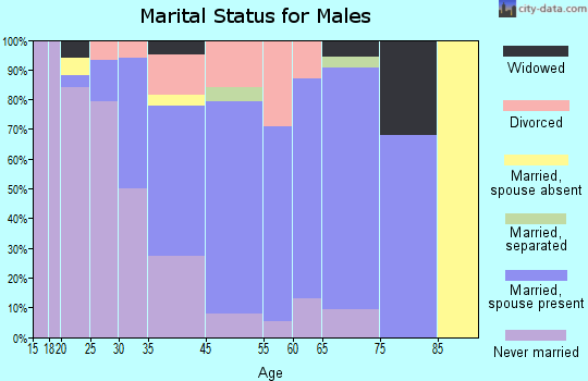 Zip code 85235 marital status for males