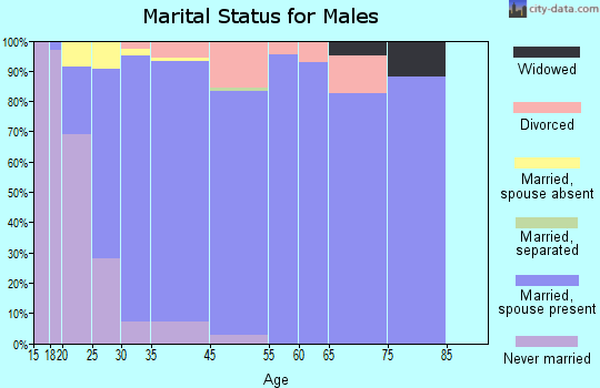 Zip code 85236 marital status for males