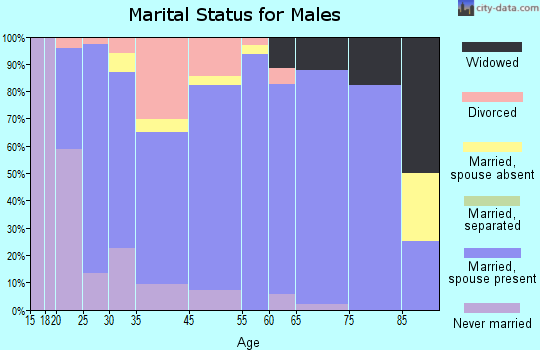 Zip code 85237 marital status for males