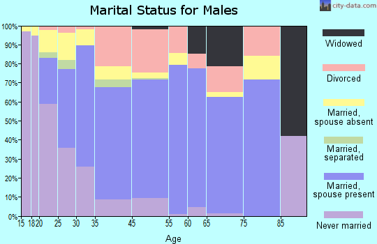 Zip code 85239 marital status for males