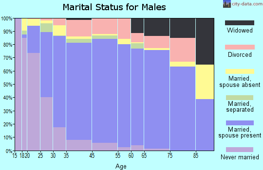 Zip code 85242 marital status for males