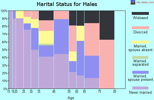 Zip code 85247 marital status for males