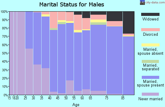 Zip code 85248 marital status for males