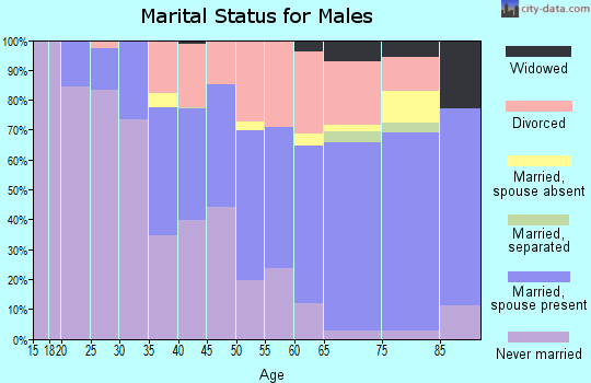 Zip code 85250 marital status for males