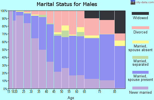 Zip code 85251 marital status for males