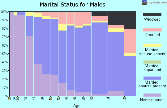 Zip code 85254 marital status for males