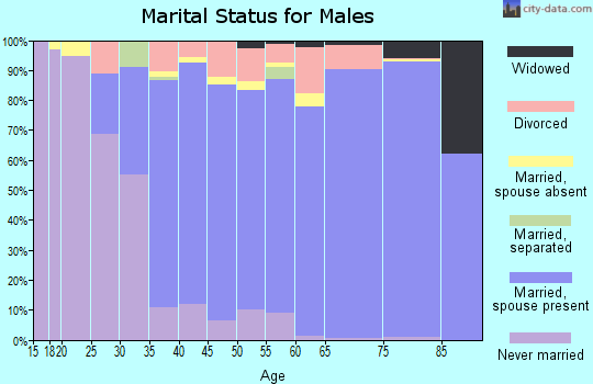 Zip code 85255 marital status for males