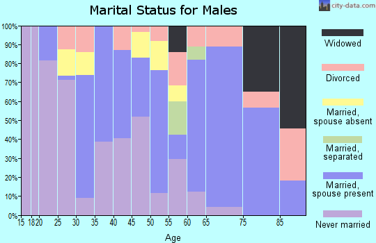Zip code 85256 marital status for males