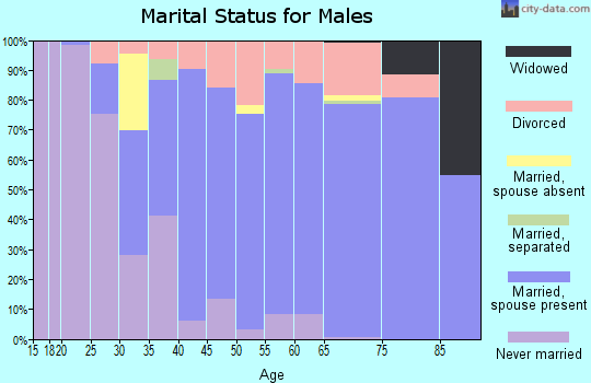 Zip code 85259 marital status for males