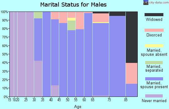 Zip code 85262 marital status for males