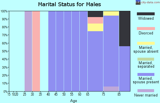 Zip code 85263 marital status for males