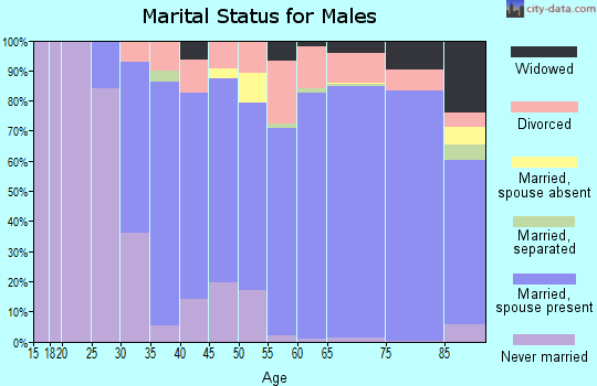 Zip code 85268 marital status for males