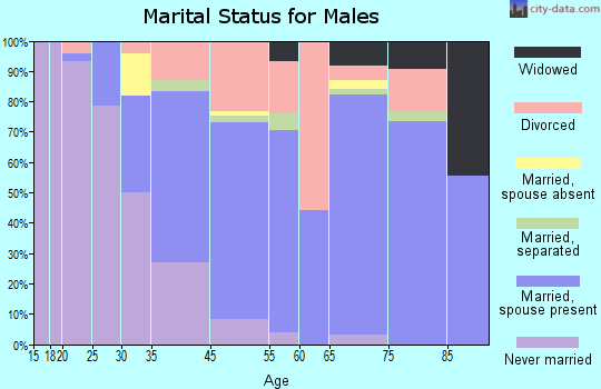Zip code 85273 marital status for males