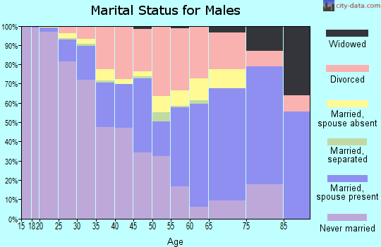 Zip code 85281 marital status for males