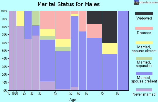 Zip code 85292 marital status for males