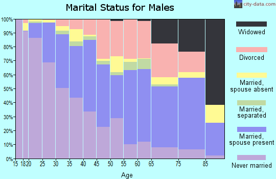 Zip code 85301 marital status for males